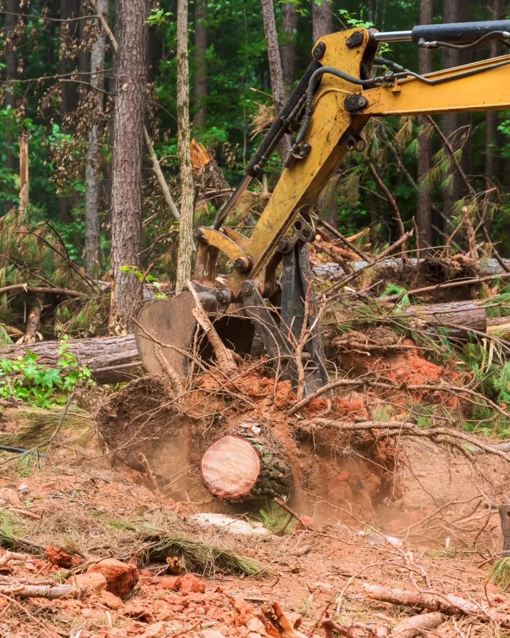 Excavator digging and loading soil on a site-prep job in Covington, LA